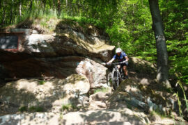 Nordvogesen Singletrail-Cross (Duo-Level)