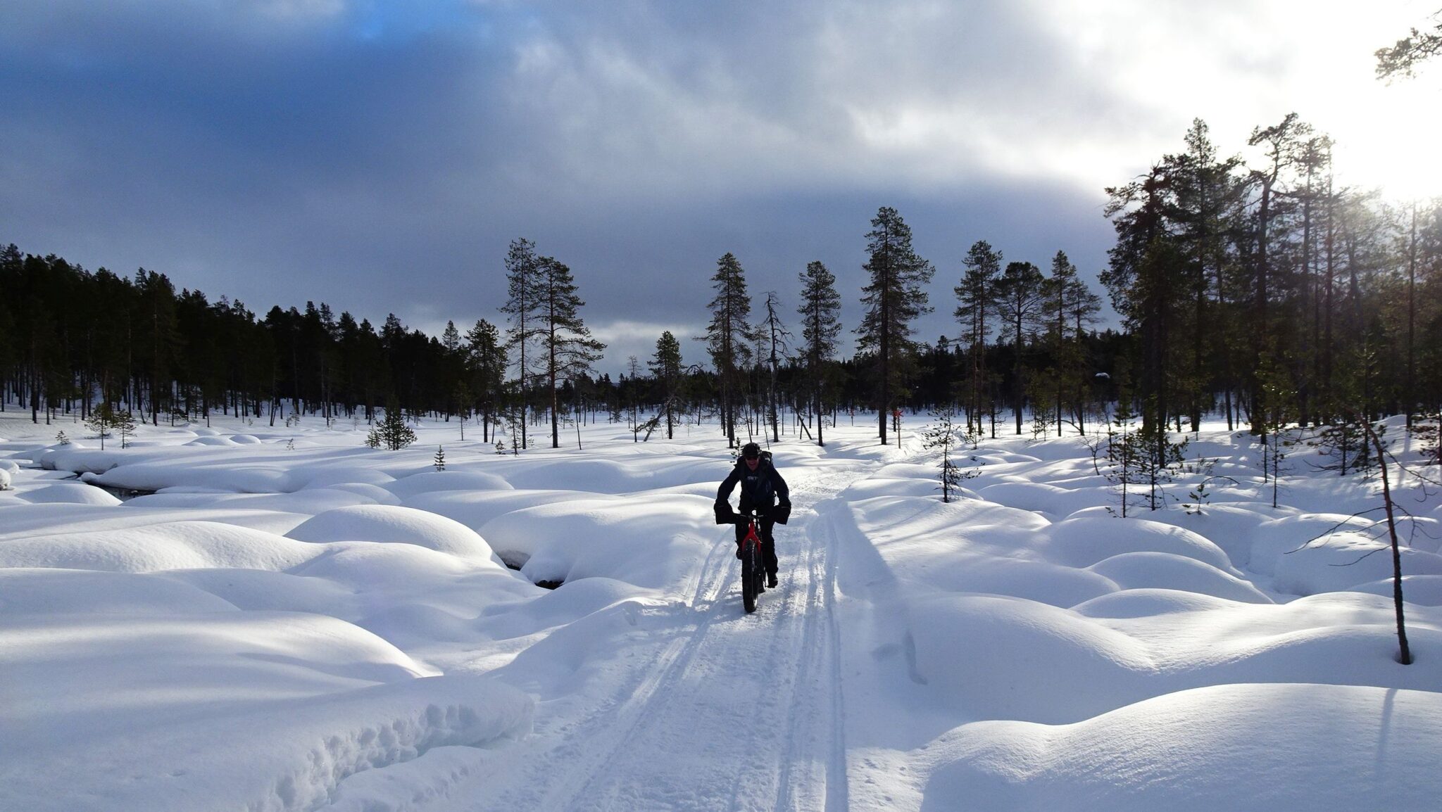 06_Lappland_2024_DSC00574 Gipfelstürmer der Alpen 74452021