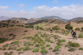 Singletrail Atlas-Cross